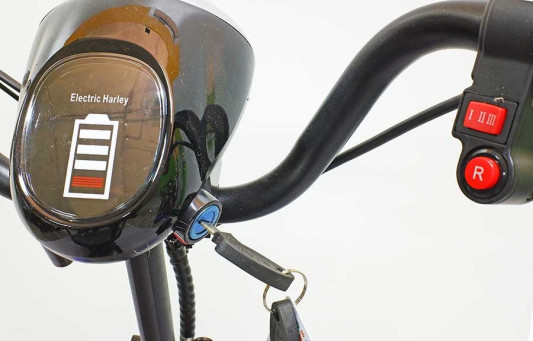 Трицикл GreenCamel Кольт 501 (36V 10Ah 2x250W), синий