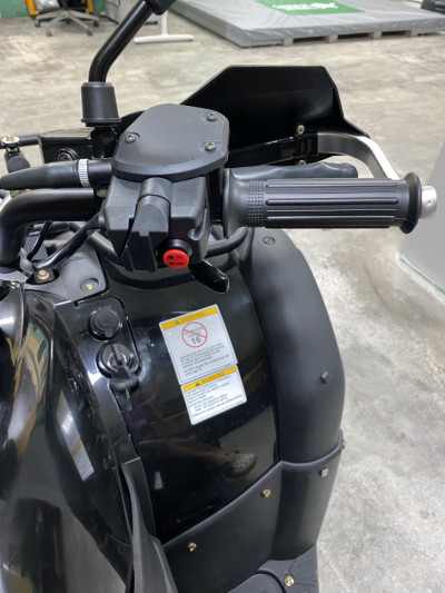 Квадроцикл GreenCamel Сахара A14К 4x4 Monster 2.0 (14kW 150Ah 100 км/ч) блокировки