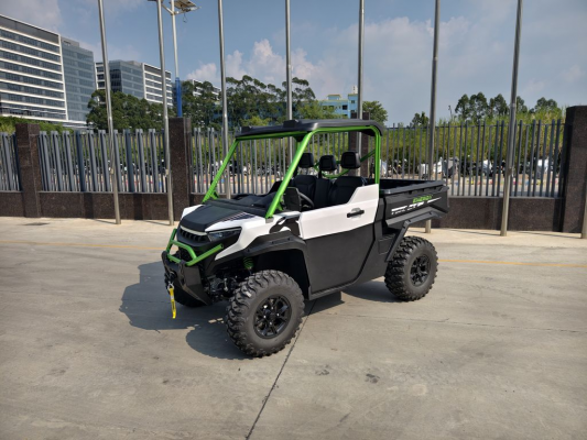 Багги CHEETAH Electric UTV