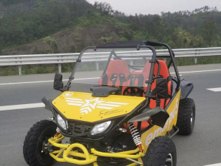 Багги MC-290